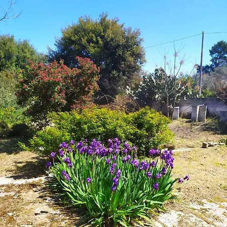 Holis Guest house