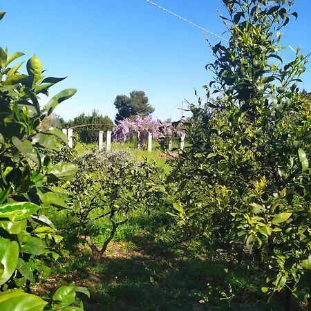Holis * San Cesario di Lecce